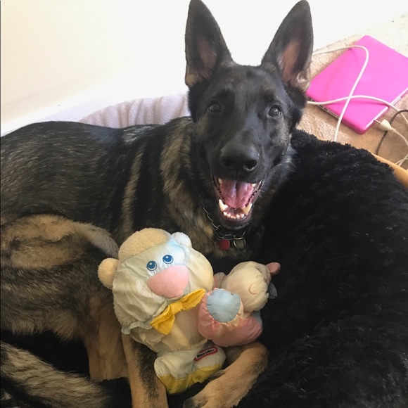 Meet your Posher, Mimi - Picture 5 of 8